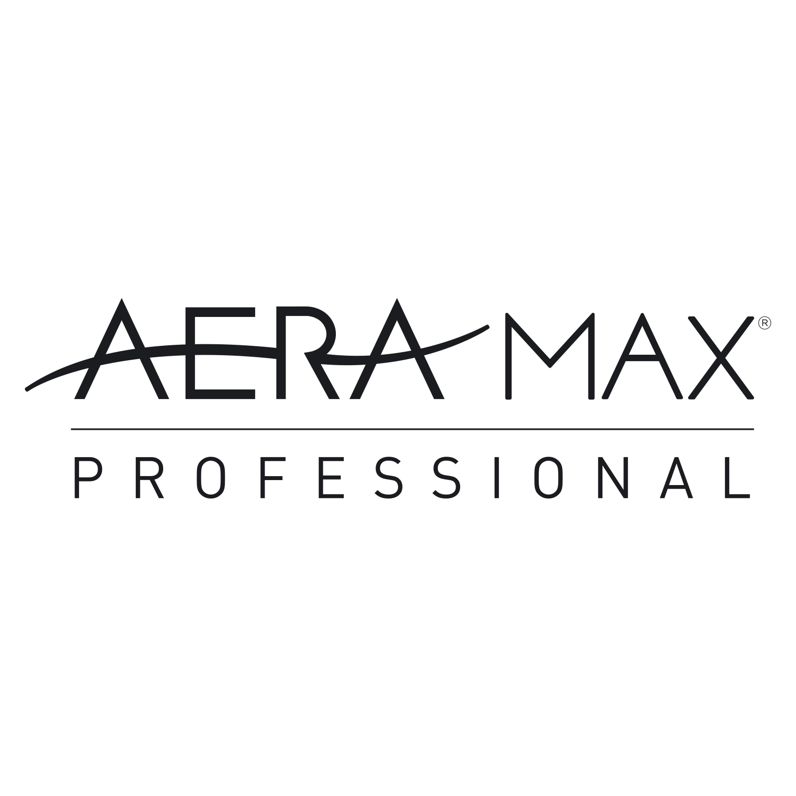 Luftreinigungsgerät AeraMax Pro 2