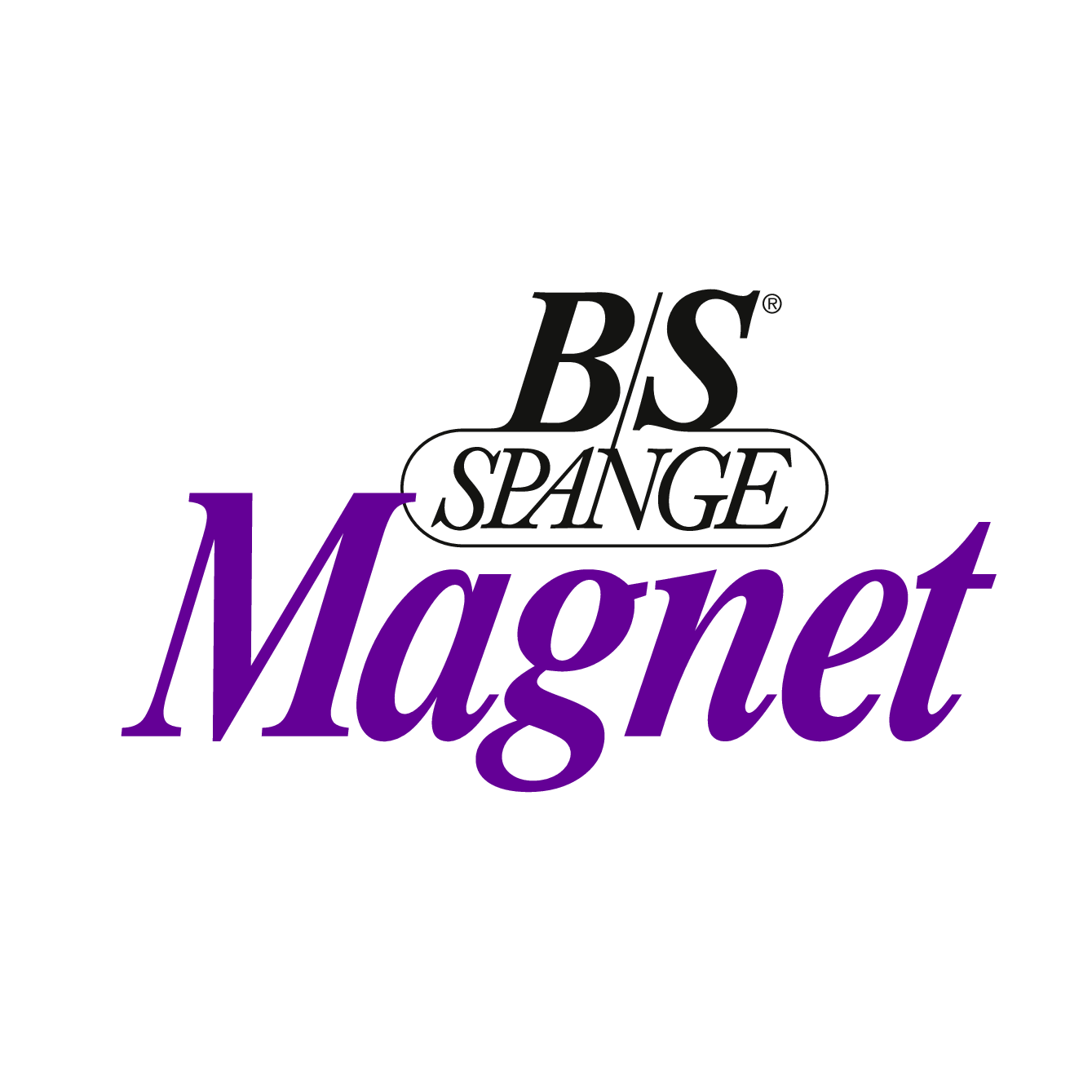 B/S Spange Magnet Profi-Set, mit Magnetapplikatoren, mit 60 Spangen