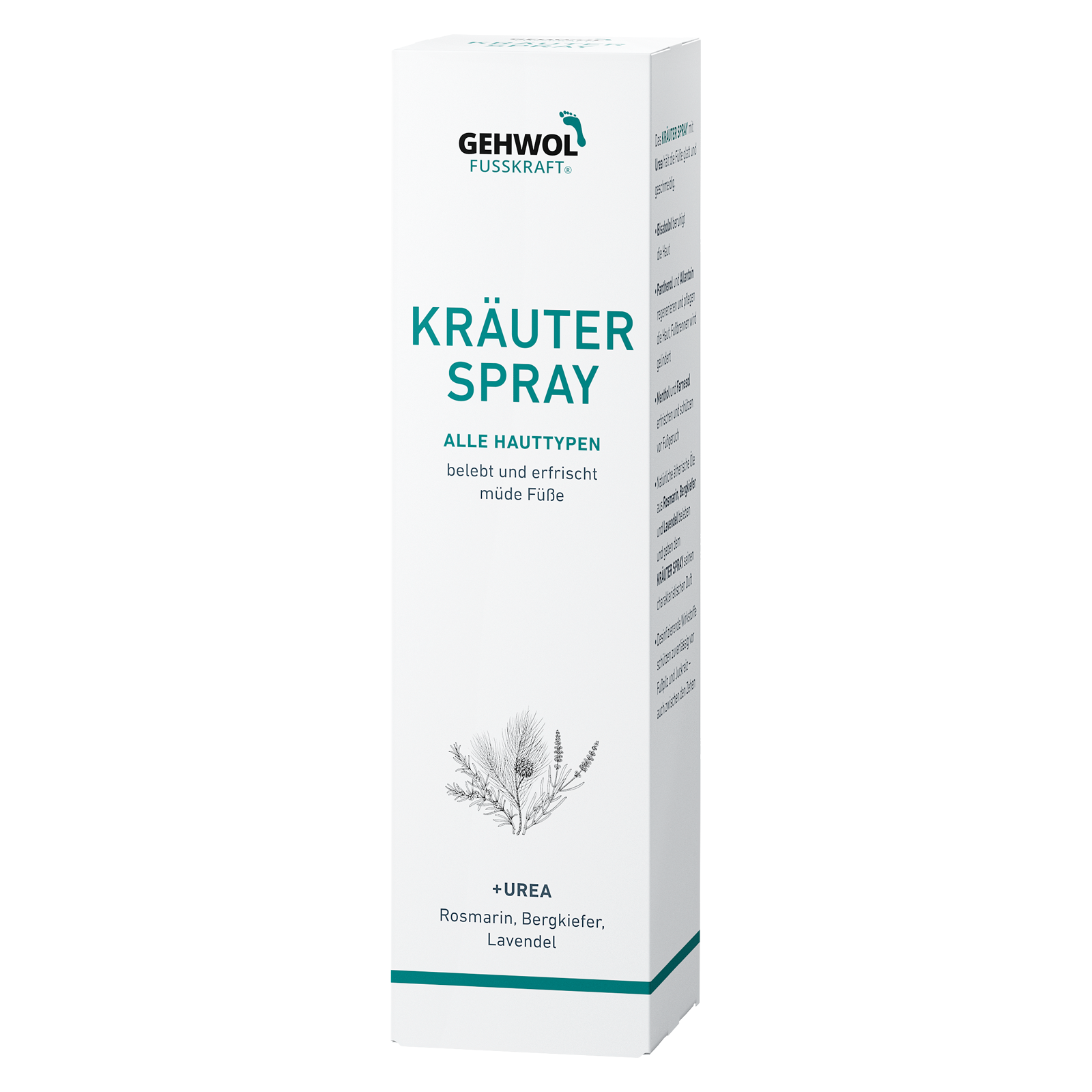 Deko Faltschachtel GEHWOL FUSSKRAFT® Kräuter Spray