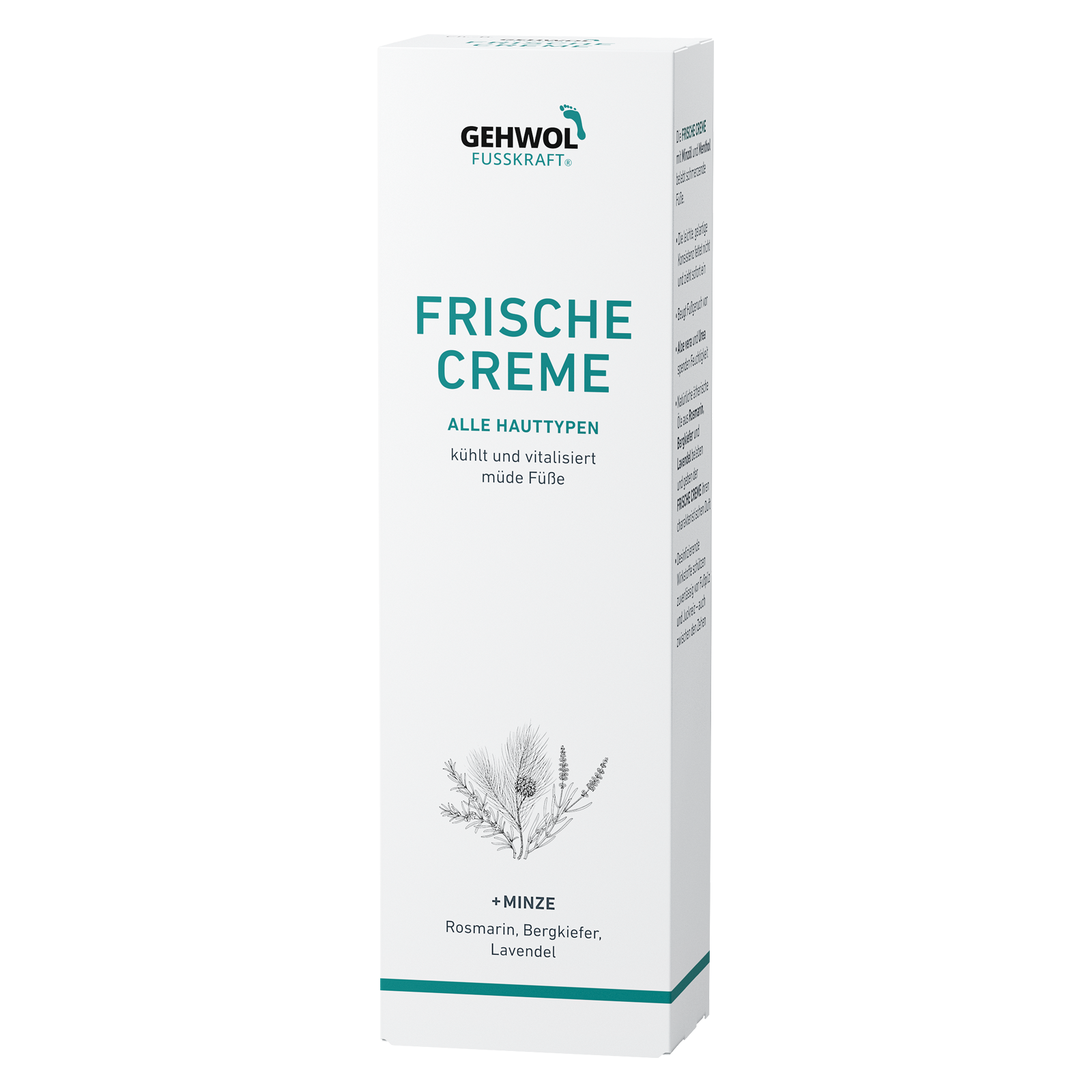 Deko Faltschachtel GEHWOL FUSSKRAFT® Frische Creme
