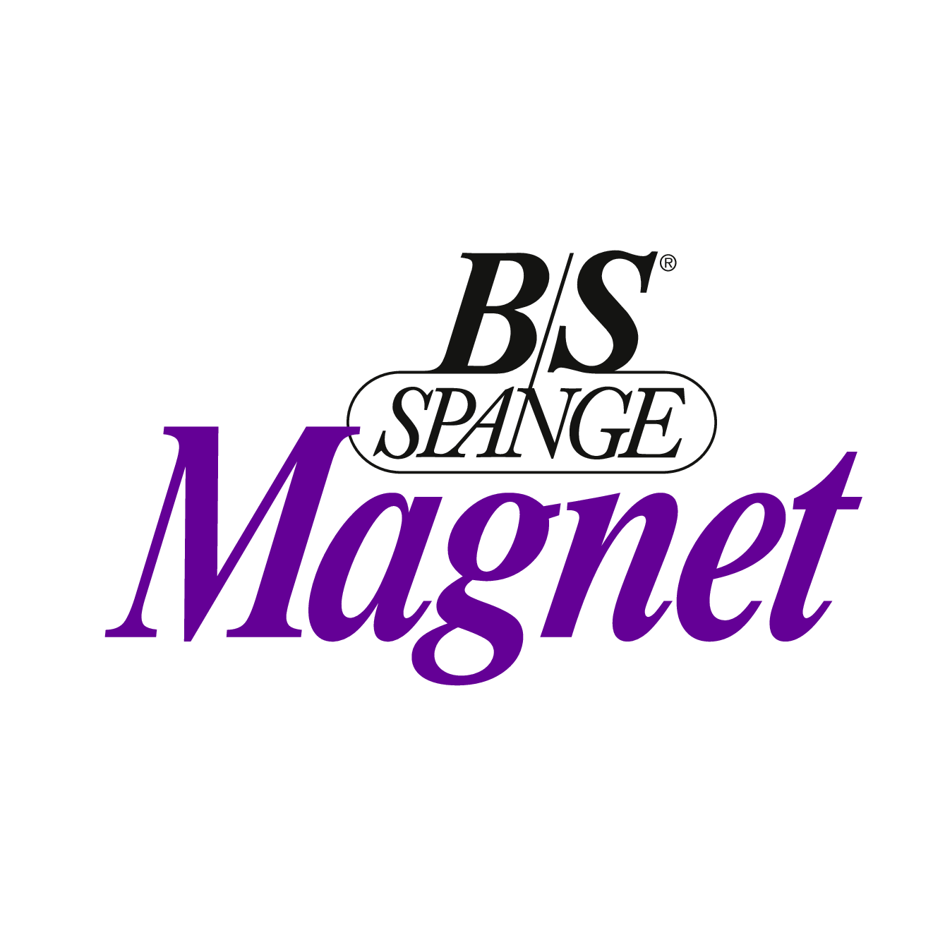 B/S Spange Magnet Profi-Set, mit Multi-Applikator, mit 60 Spangen