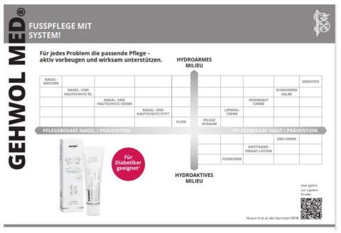GEHWOL MED® Beratungskarte 'Medizinisches Pflegekonzept bei Fussproblemen', 1 Stück