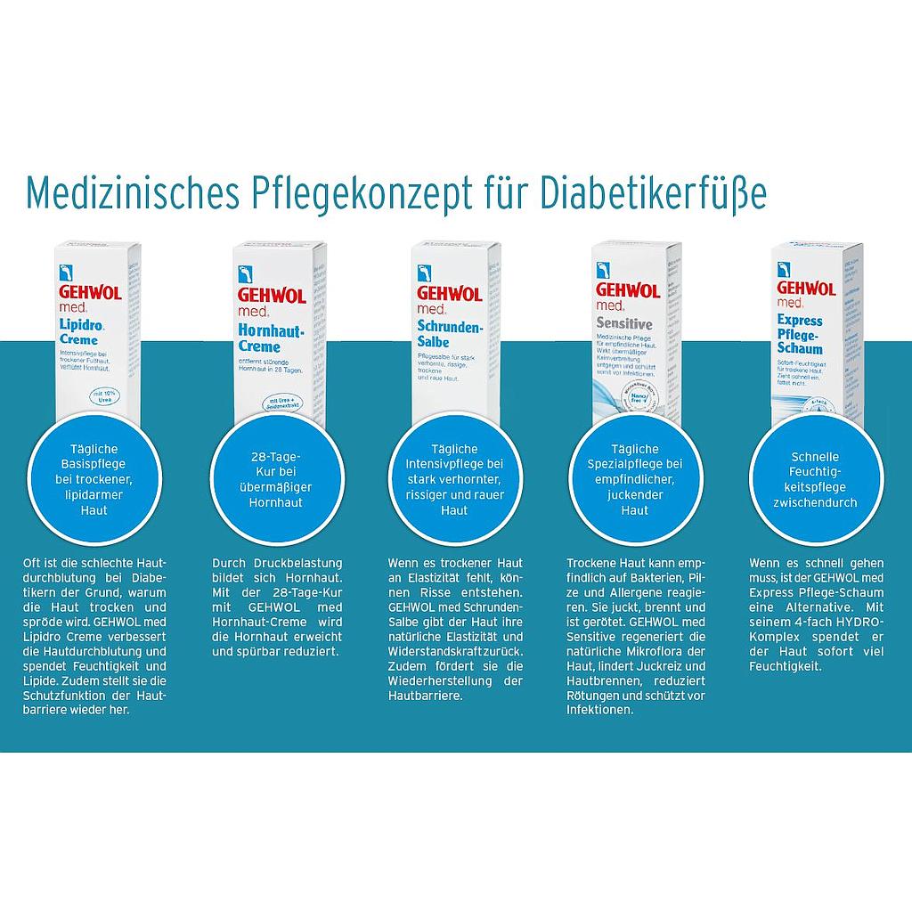 GEHWOL med® Pflegekonzept für Diabetikerfüsse Beratungskarte, 1 Stück