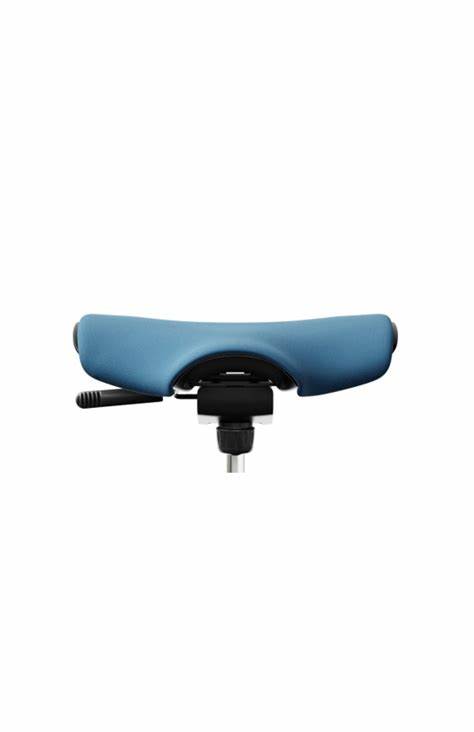 Komfortkissen zu HÅG Capisco PULS (mit oder ohne Rückenlehne) aus Kollektion skai® Evida