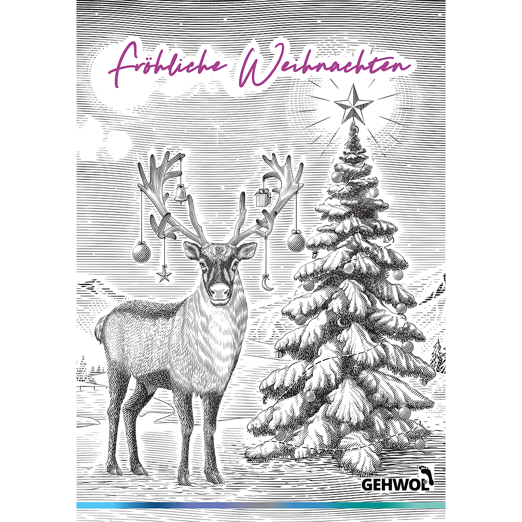 GEHWOL® Plakat Weihnachten 'Echinacea', Format DIN A2 - 42 x 60 cm
