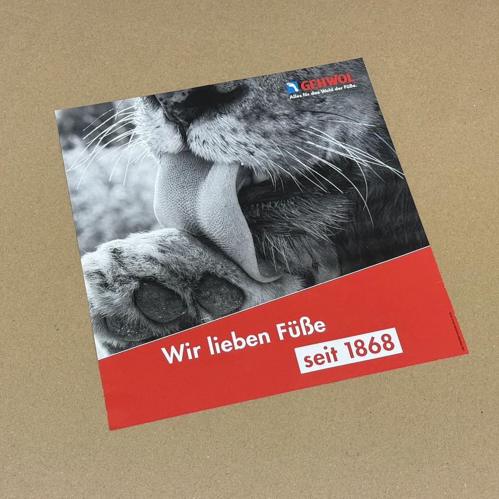 Einschieber zu GEHWOL® Bodenverkaufsständer mit Motiv 'Imageanzeige Löwe', D/Int.