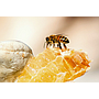 Remmele's Propolis Honig-Propolis Maske, 200 ml