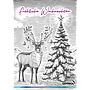 GEHWOL® Plakat Weihnachten 'Echinacea', Format DIN A2 - 42 x 60 cm